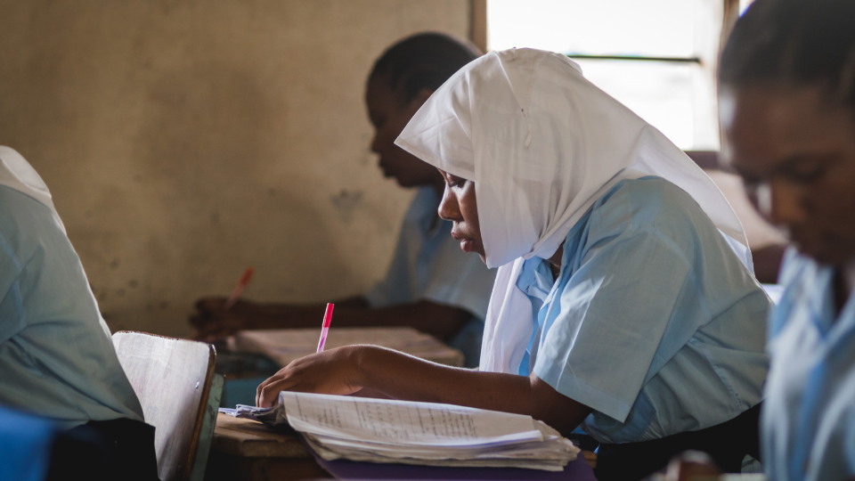 Why Girls Ed Matters Listing